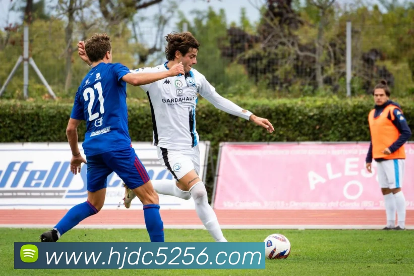 数据防护可视化